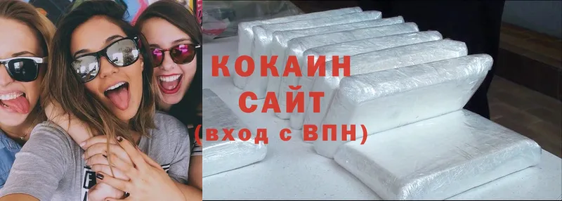 где купить наркоту  Котлас  Кокаин FishScale 